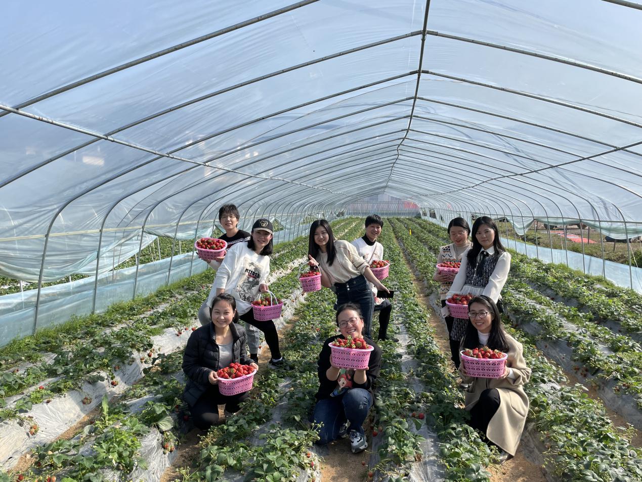 hth华体官方下载